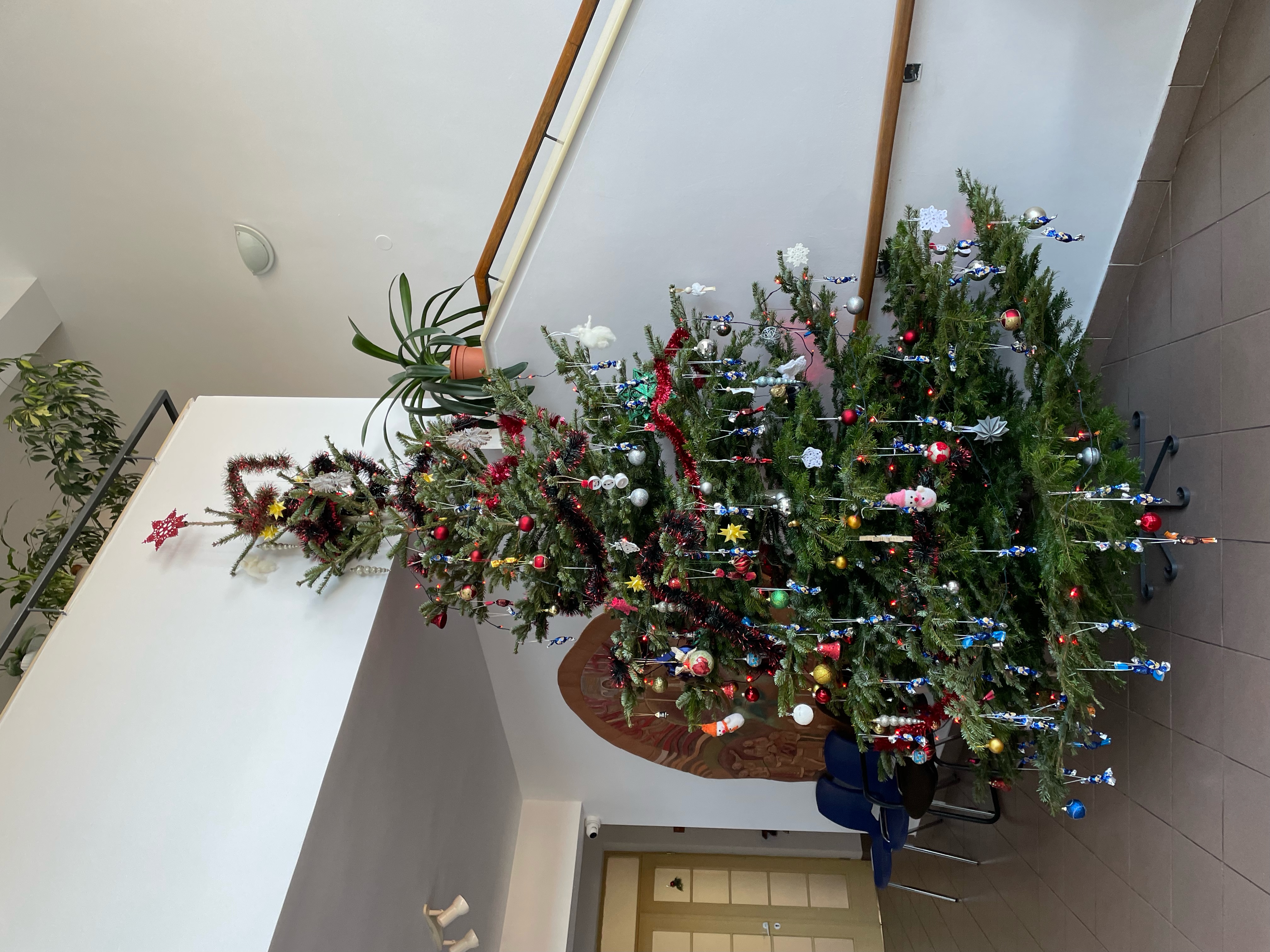 Őszi napok Pastor Bonus otthonban